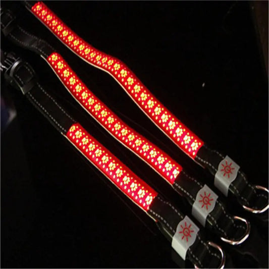 LED Glow Pet Collar with Light-Up Features